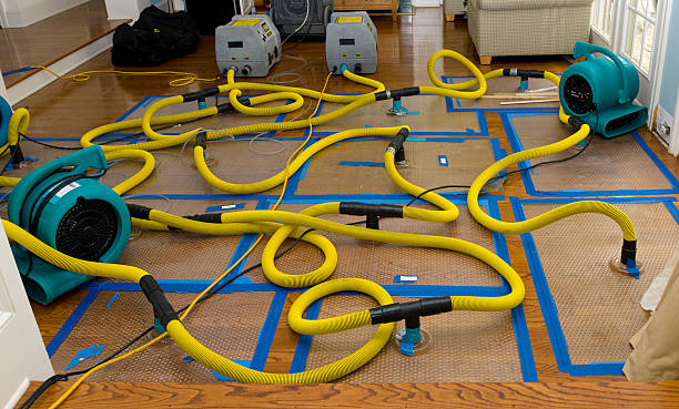 Professional Water Damage Restoration technician working in Belmont, PA